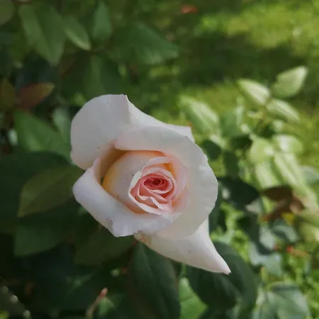 Un Coin De Paradis En Dordogne לינה וארוחת בוקר *